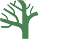 treetrading